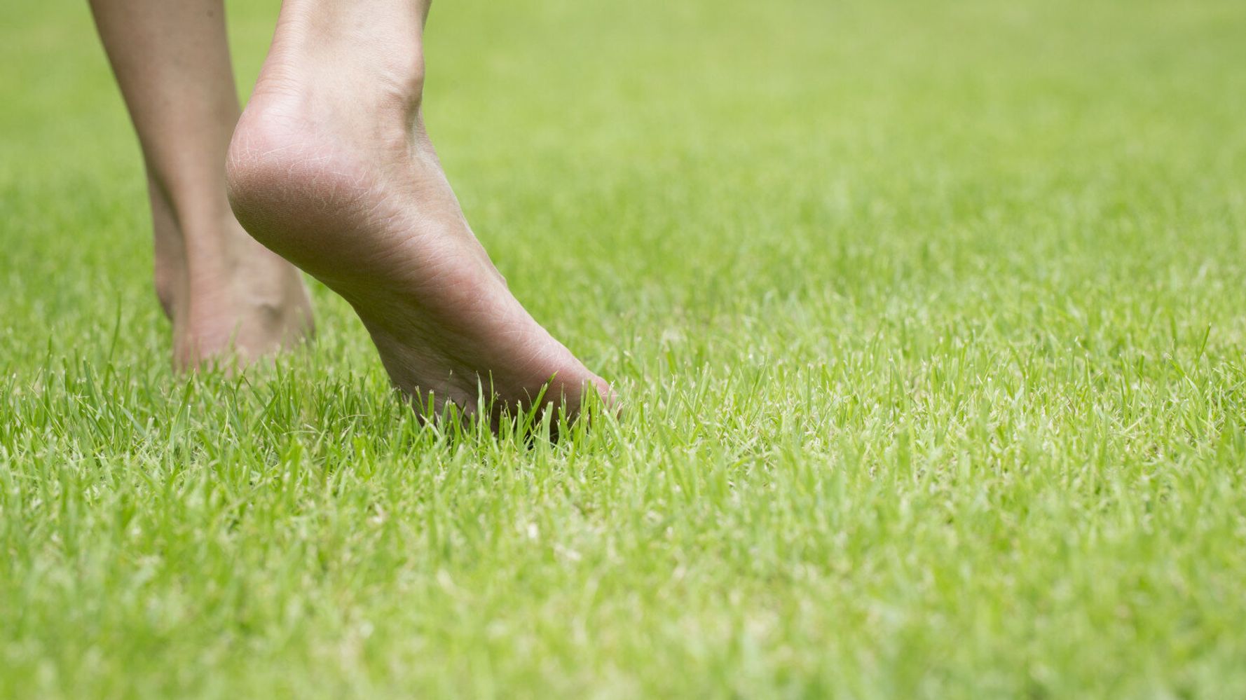 Фото поле ноги. You must walk on the grass.