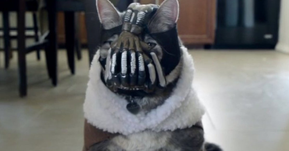 5d021cda210000dc18ed90a9.jpeg?ops=1200_6