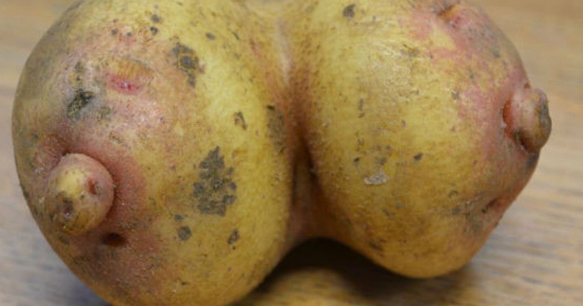 Breast Shaped Potato Discovered In Leicestershire Farm Shop (PICTURE