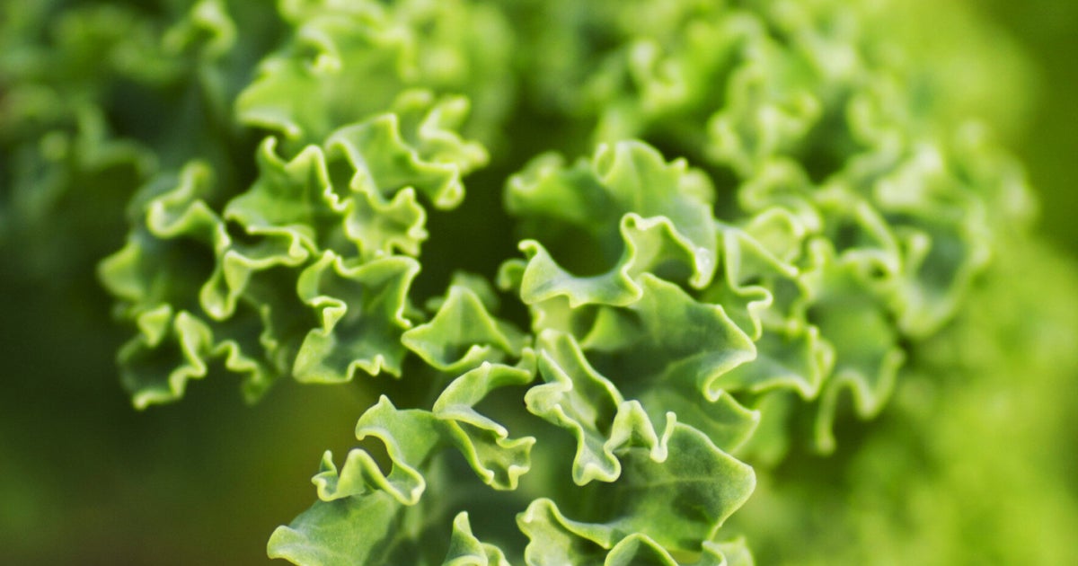 CholesterolLowering And Weight Loss Why Kale Is Good For You
