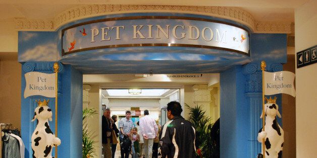 Pet kingdom!
