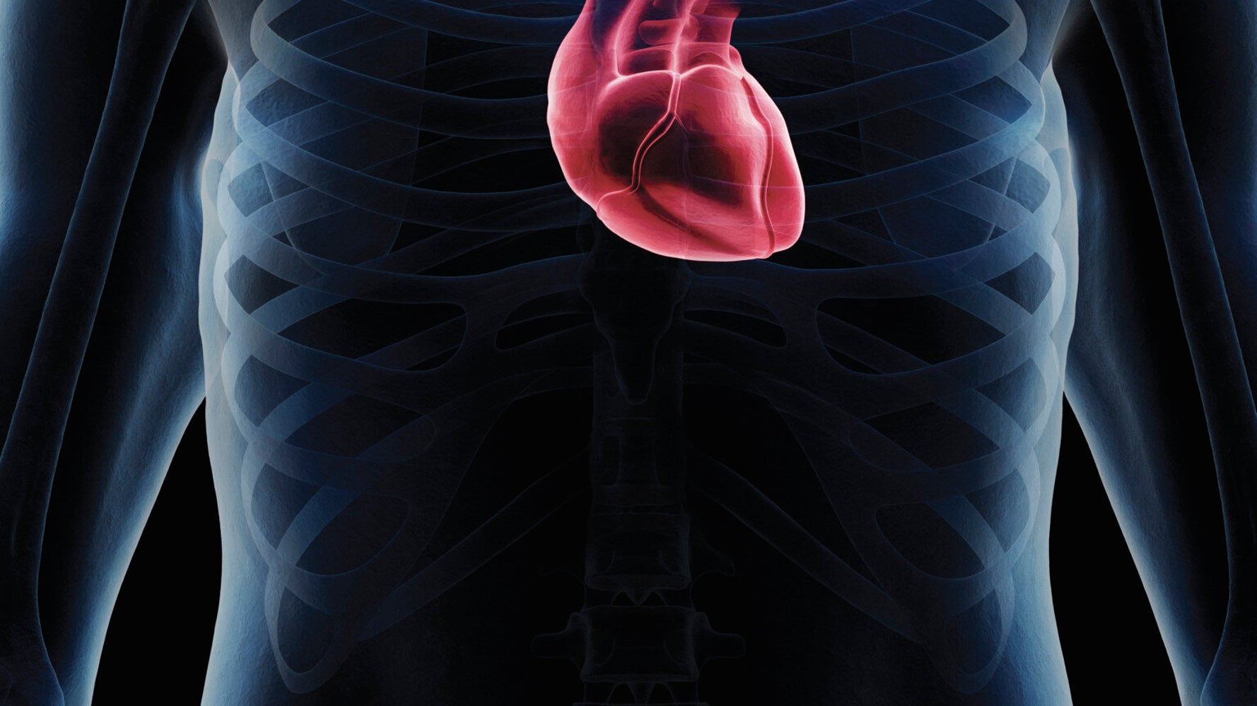 Men With Big Testicles Likely To Have Higher Blood Pressure And Heart