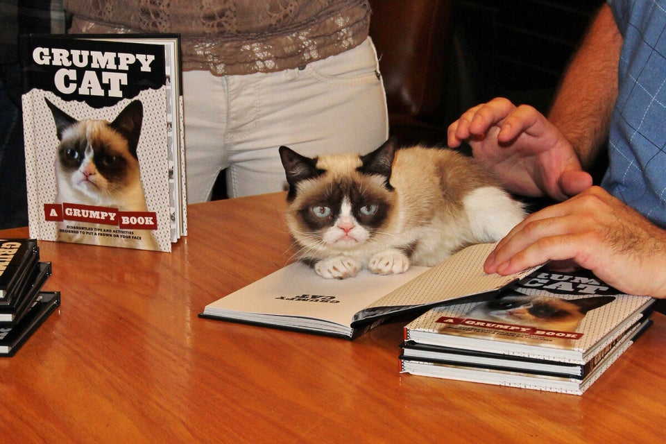 Friskies' new face:  star Grumpy Cat is pet food's new