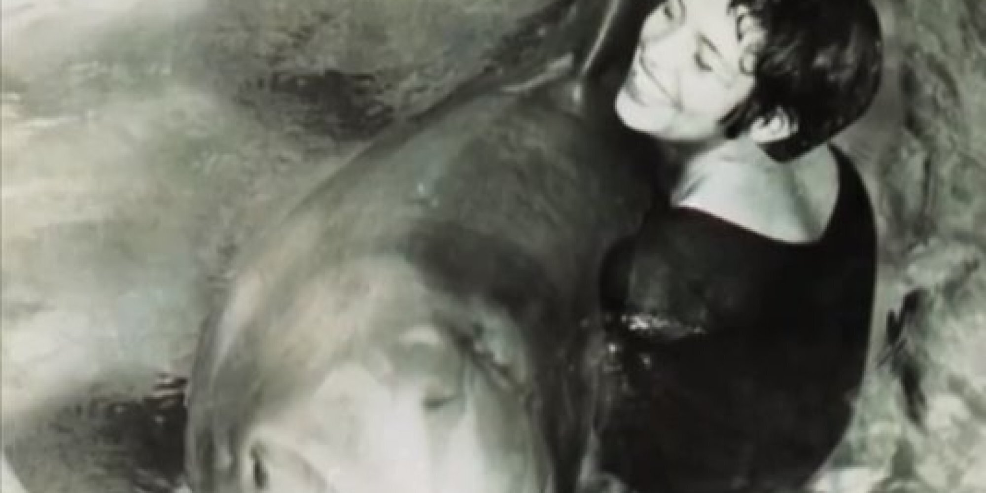 The Girl Who Talked To Dolphins (and Masturbated Them Too) (VIDEO) HuffPost UK News