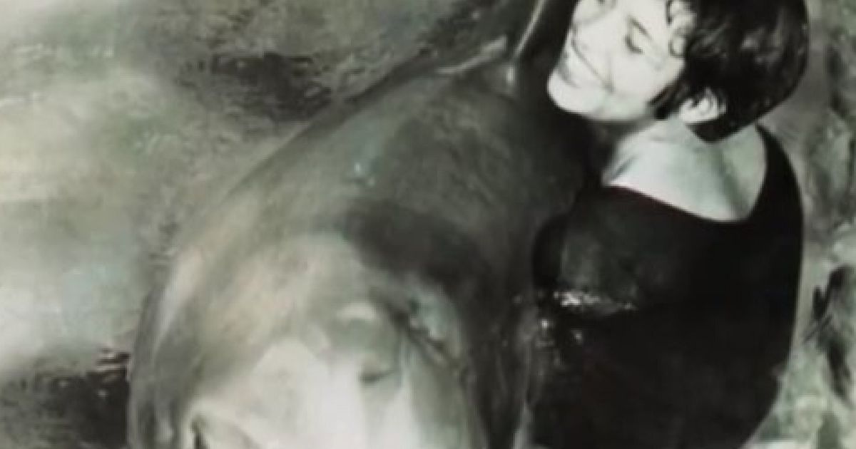WATCH: The Girl Who Talked To Dolphins (& Masturbated Them Too)