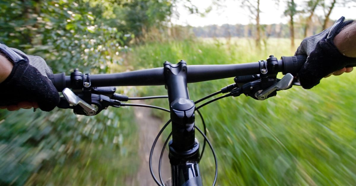 Seven Week Erection Priapism Caused By Mountain Bike Injury