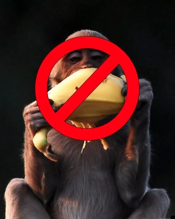 Monkeys banned from eating bananas at Devon zoo, The Independent