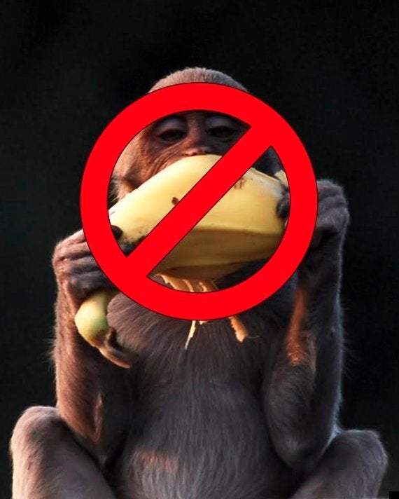 UK's Paignton Zoo bans monkeys from eating bananas for health