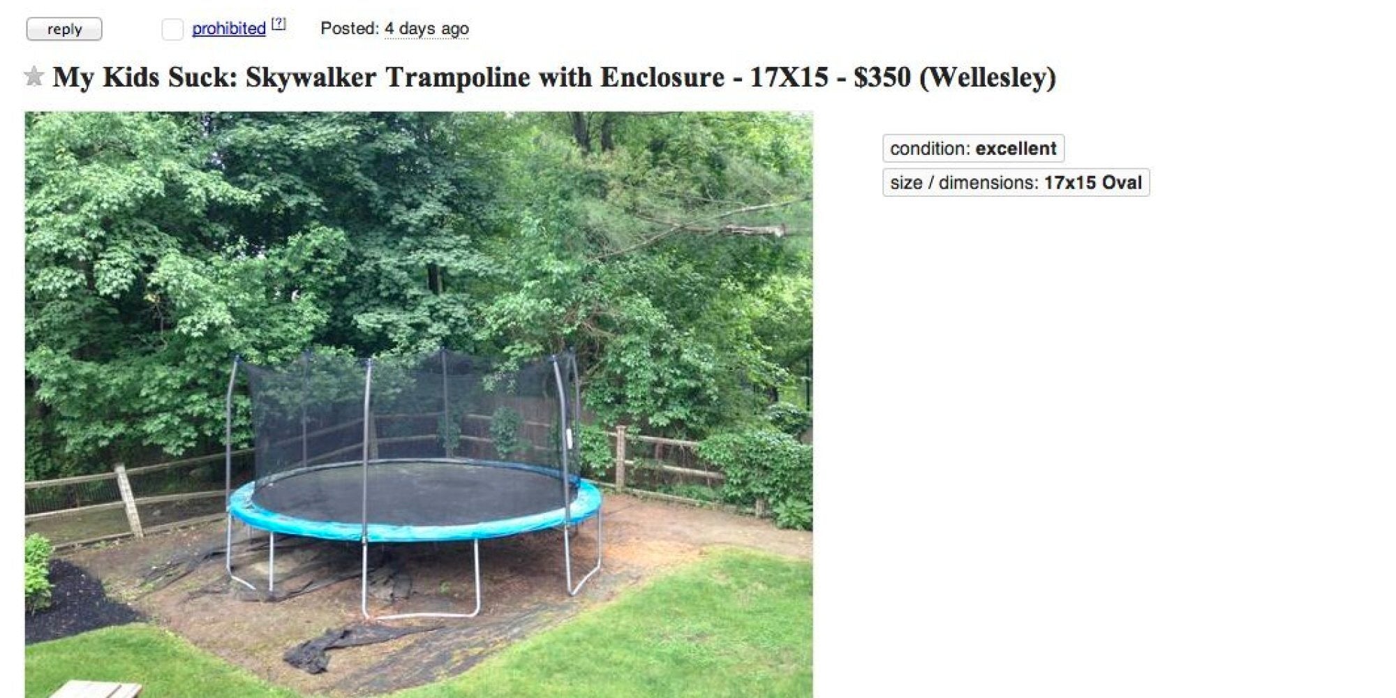 trampoline for sale craigslist
