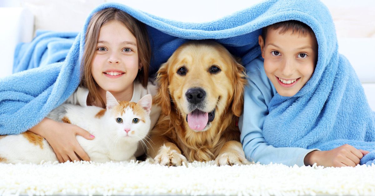 Pets Life Explored: 10 Gifts of Pet Love