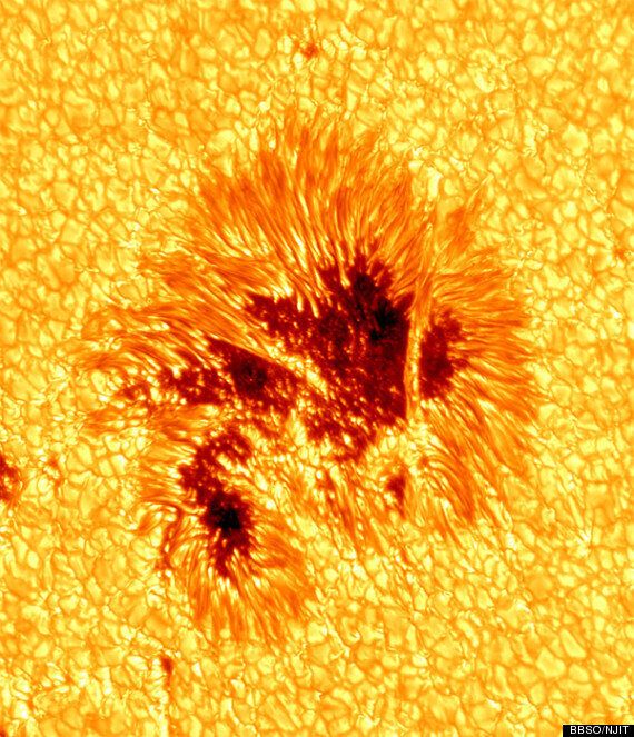 Sunspot Photo Shows Solar Phenomena In NeverBeforeSeen Detail