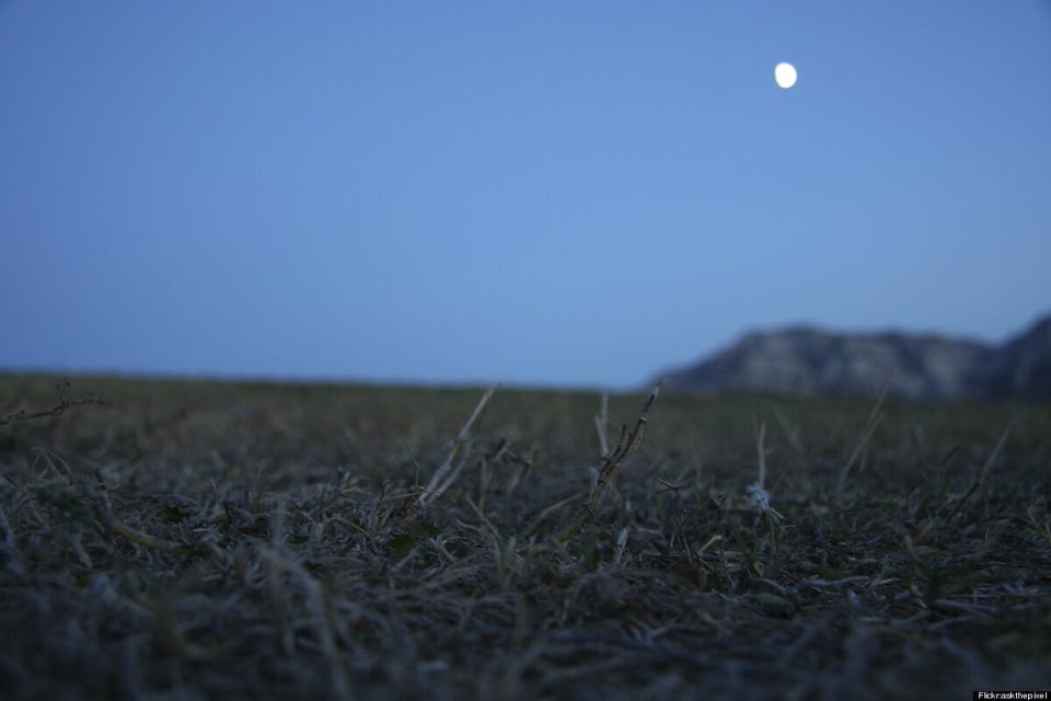 Insect Noises At Night In An Open Field