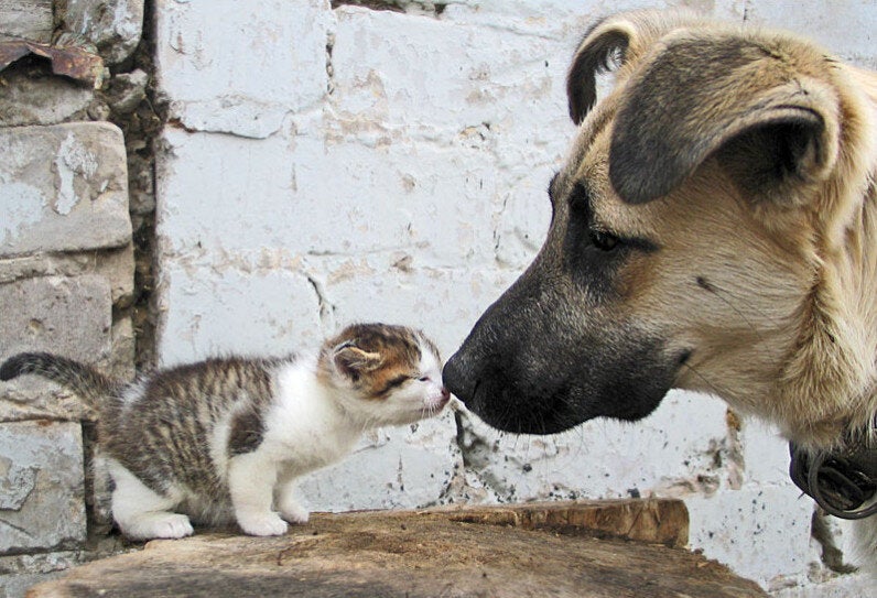 (Via Imgur)