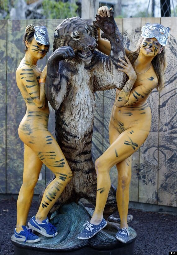 Nude Tiger Activists Run Amok In London Zoo (PICTURES) HuffPost UK News