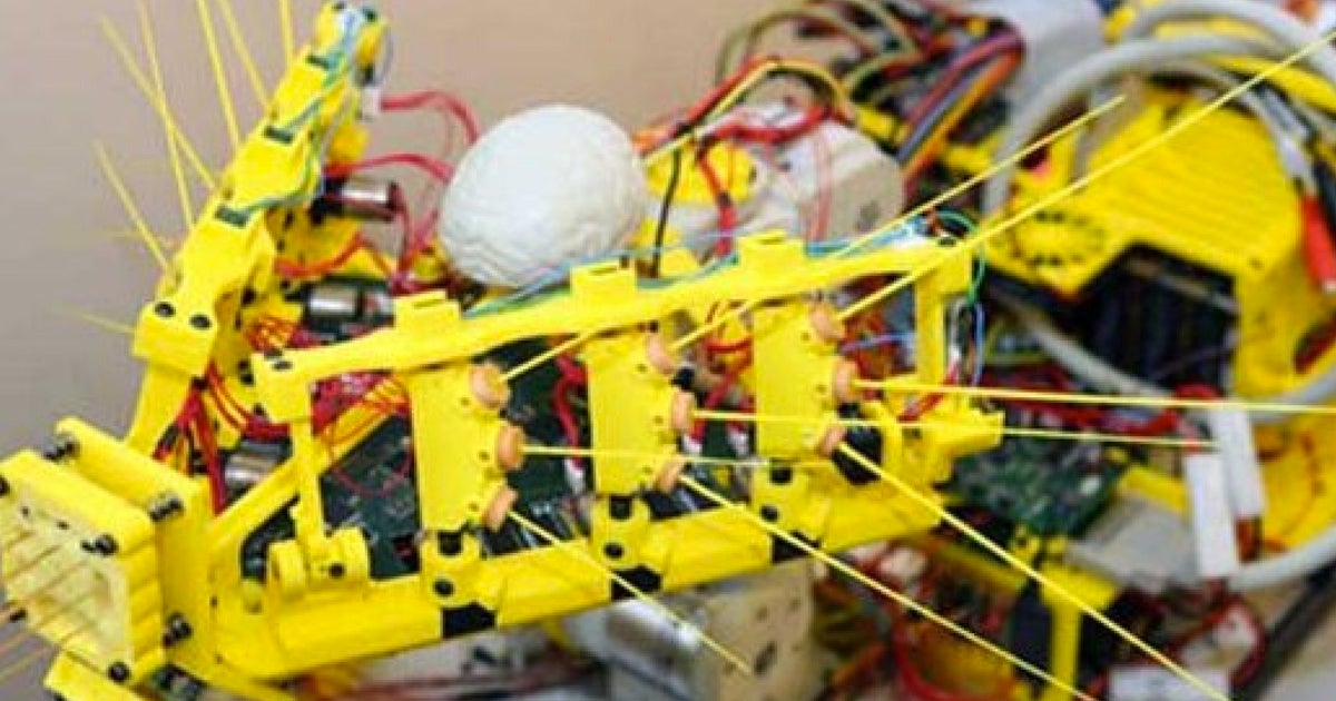 Robot Butler Builds This Is Why Your First Robot Butler Will Probably Have Whiskers ...