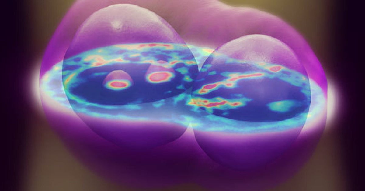 3D Imaging Of Cells Without Dyes Creates Incredibly Detailed Images ...