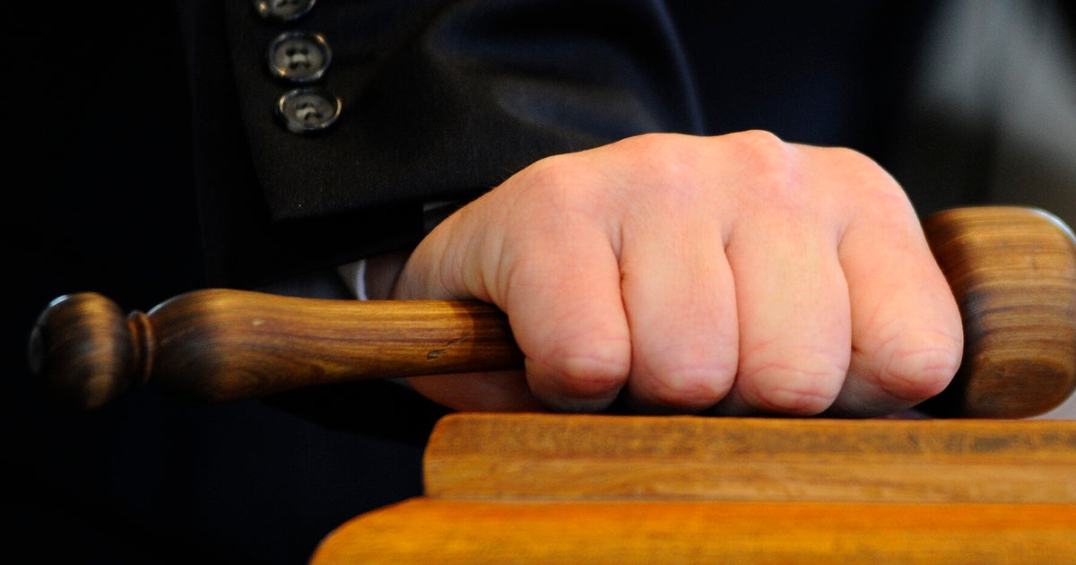 Dog Bites Horse HuffPost UK News