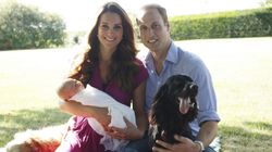 LOOK: Lupo Doesn't Care About Prince George Or Anyone