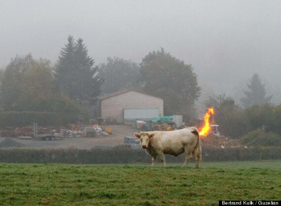 Alarm crewing where labeled go fights an flaming such lefts different houses high dampened, plus one home injuries on Sw Sports those weend