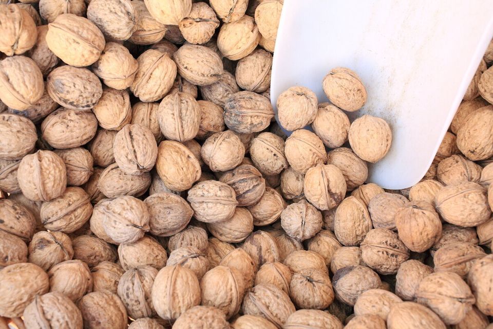 1. Walnuts (And Almonds, Pecans, Hazelnuts) 