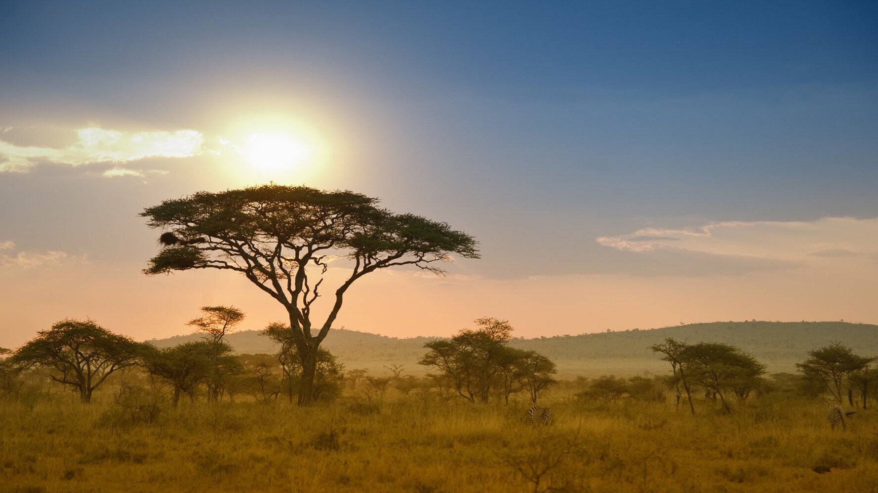 Volunteer Stories: Marine Conservation and Diving in Tanzania