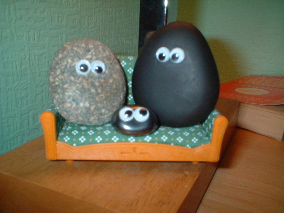 The Pet Rock