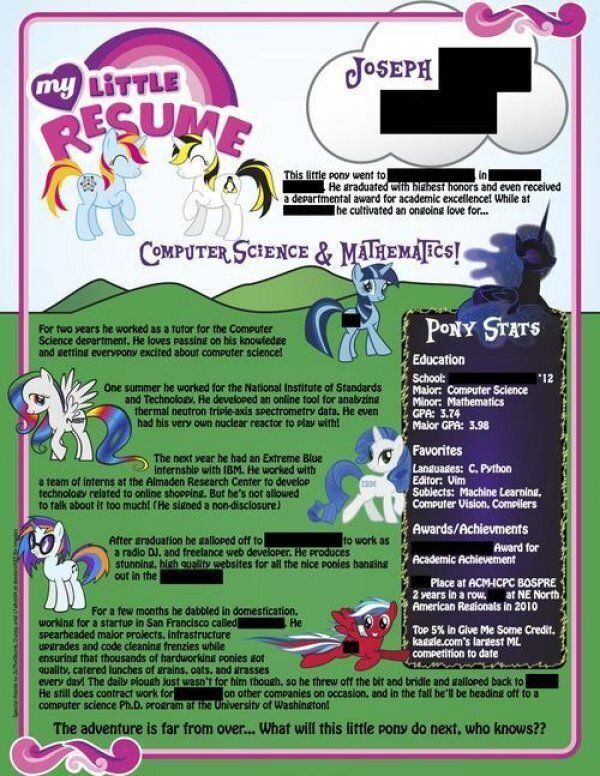 My Little Pony Resume Is This The Worst Cv Ever Or Work Of A Genius Huffpost Uk