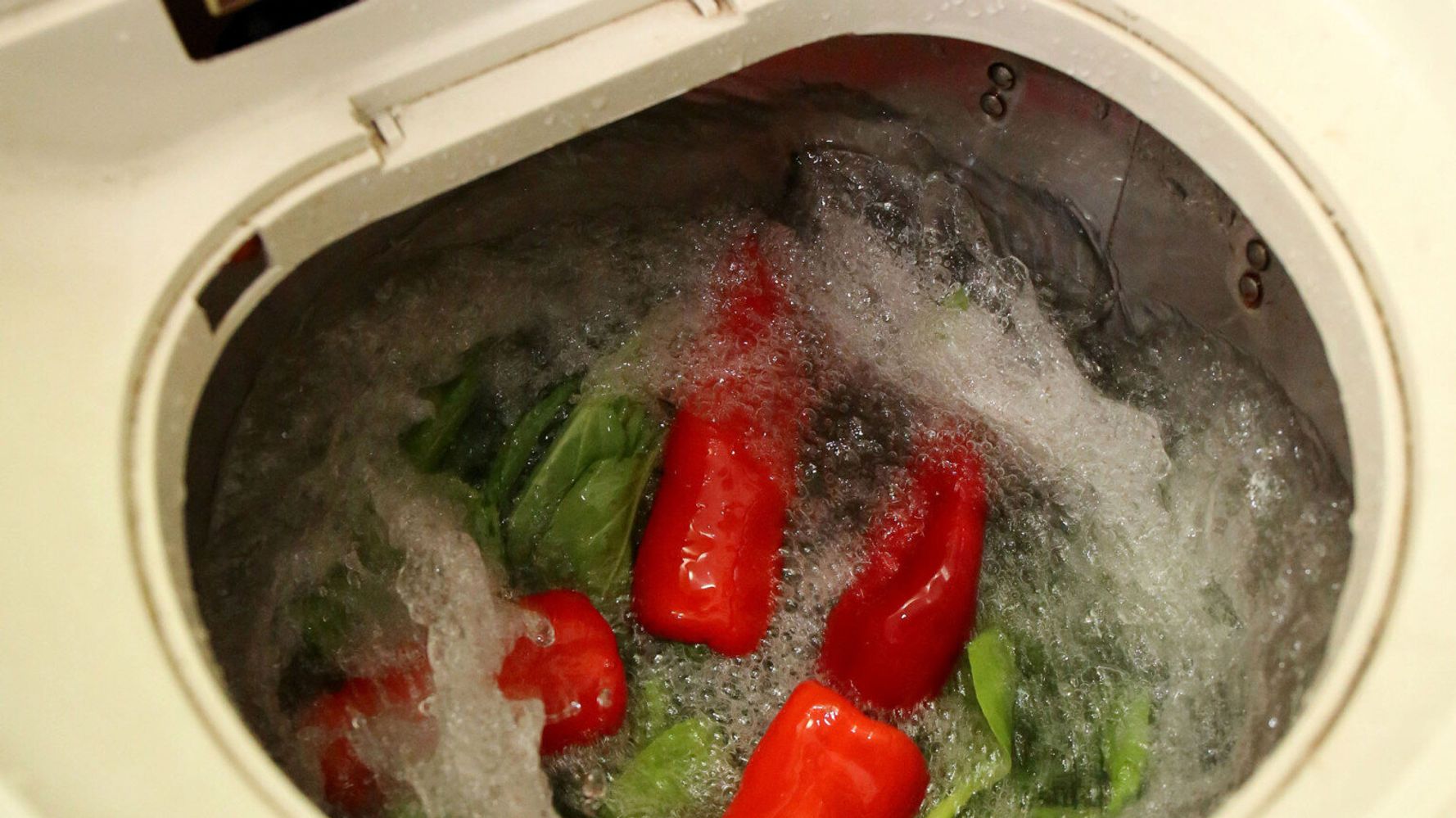 Vegetable Washing Machine