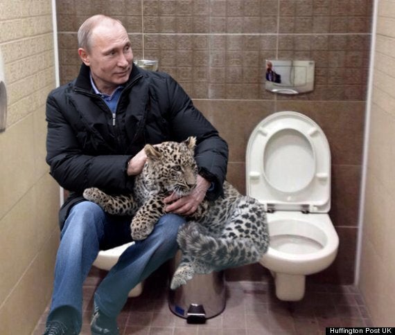 Фото Путина На Унитаз