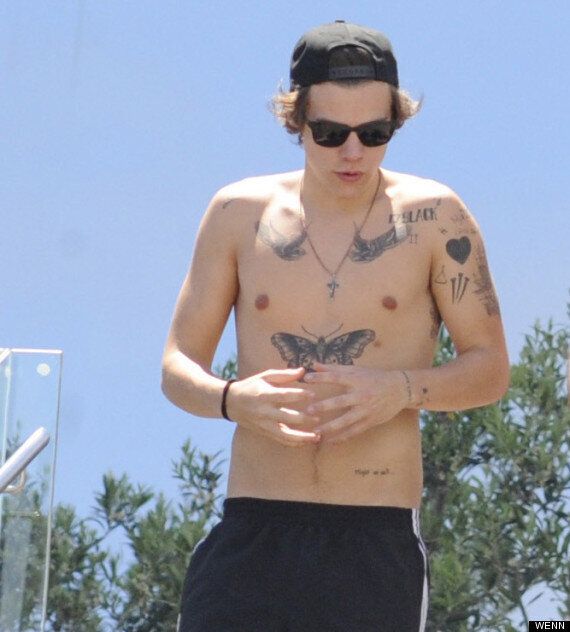 Harry Styles New Tattoo Is A Giant Rose On His Left Arm Pictures