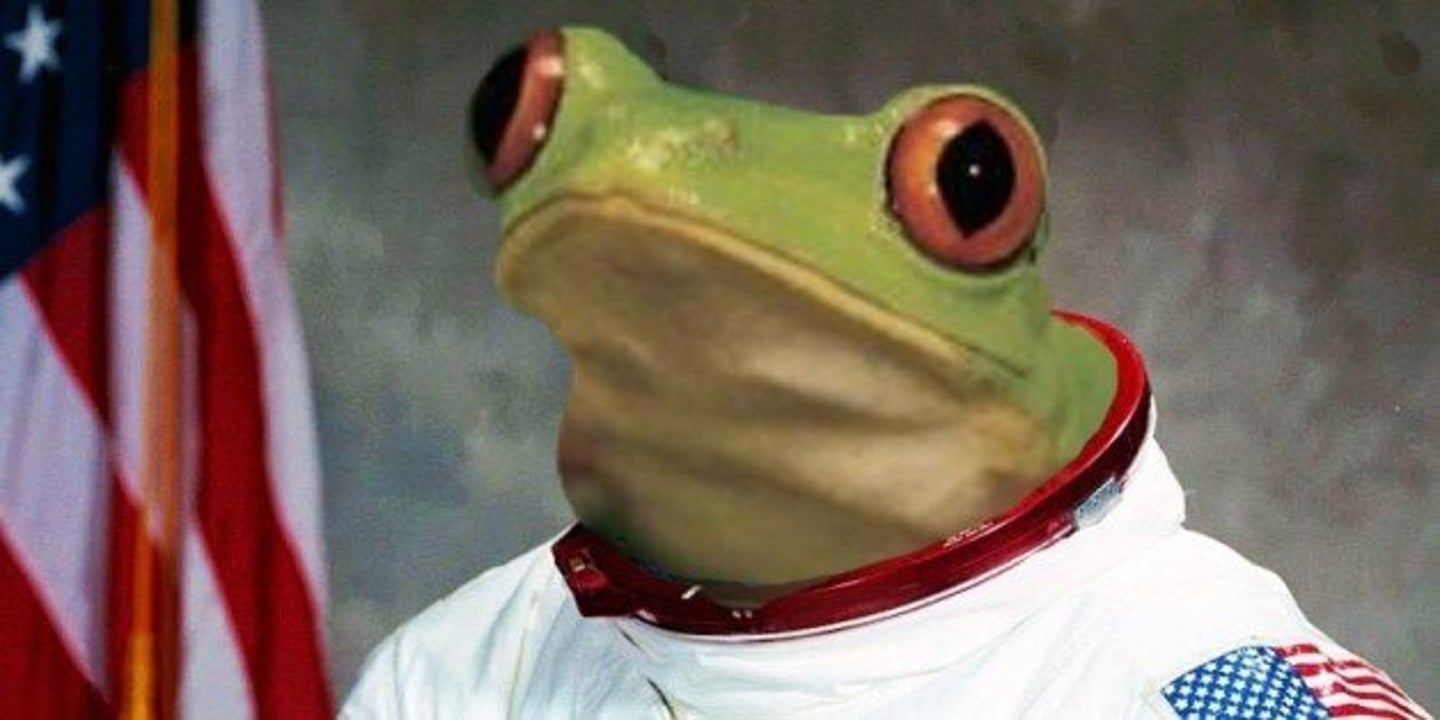 Did Frogstronaut Survive? Astronomer Ponders Nasa Photobomb Frog's ...