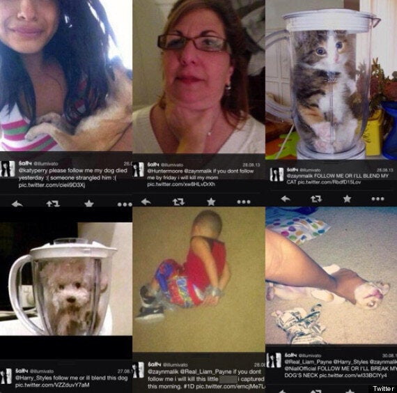 One Direction Fan Posts Pictures Threatening To Kill Dog Cat Child Pictures Huffpost Uk