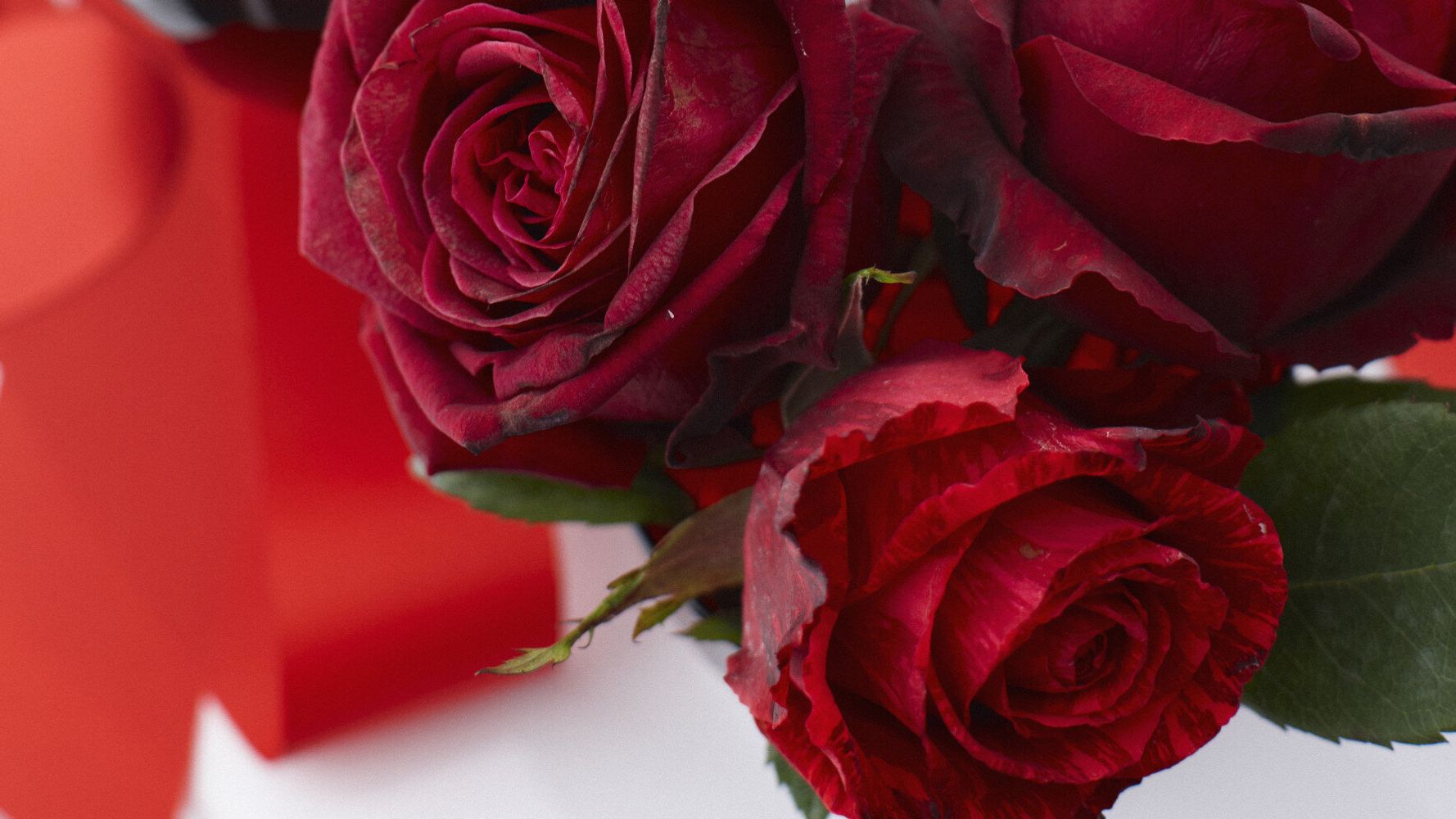 Why I M Selling 1 000 Red Roses For Valentine S Day For Charity Huffpost Uk Life