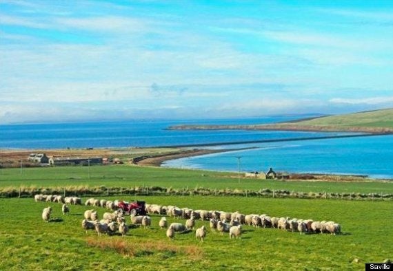 For Sale: Private Orkney Island & Coastal Farm For £600,000 – The Same