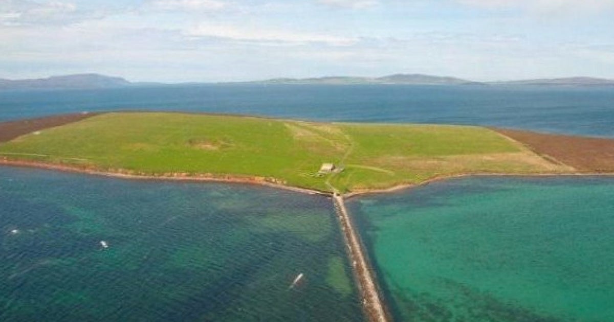 For Sale Private Orkney Island & Coastal Farm For £600,000 The Same