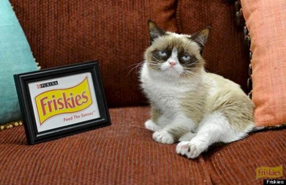 Friskies' new face:  star Grumpy Cat is pet food's new