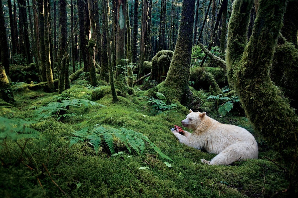 BRITISH COLUMBIA, CANADA