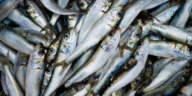 Omega-3, found in oily fish and nuts, was previously thought to improve thinking