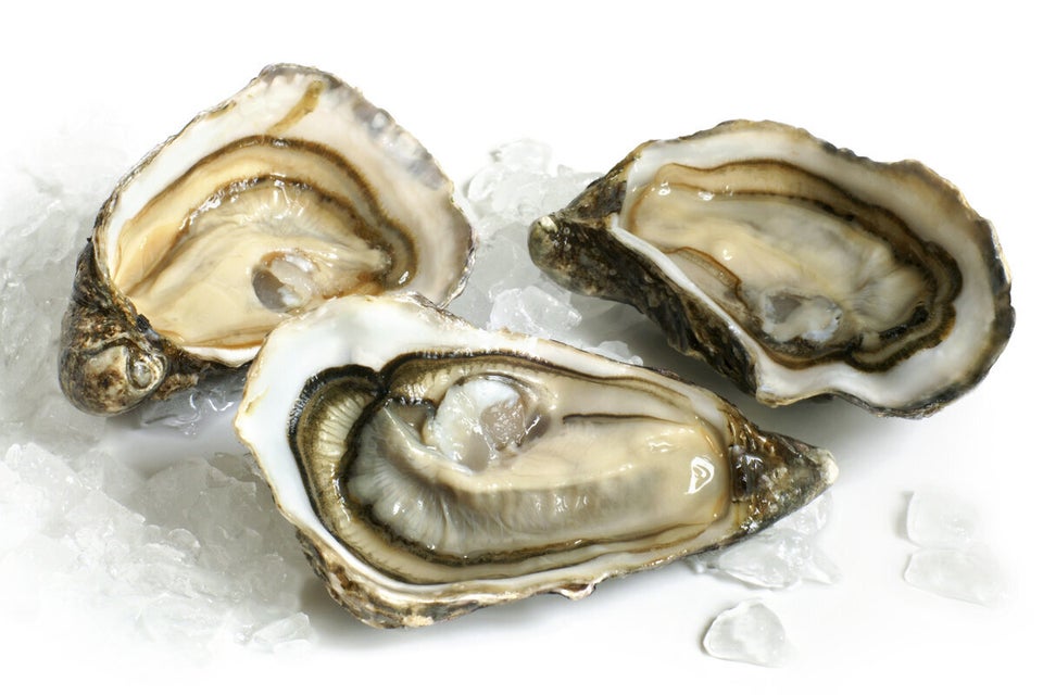 Oysters