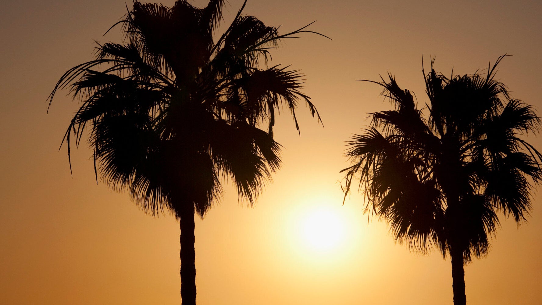 24-hours-in-los-angeles-huffpost-uk-life