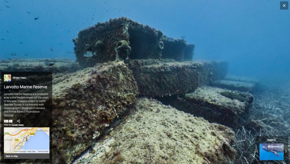  Larvotto Marine Reserve