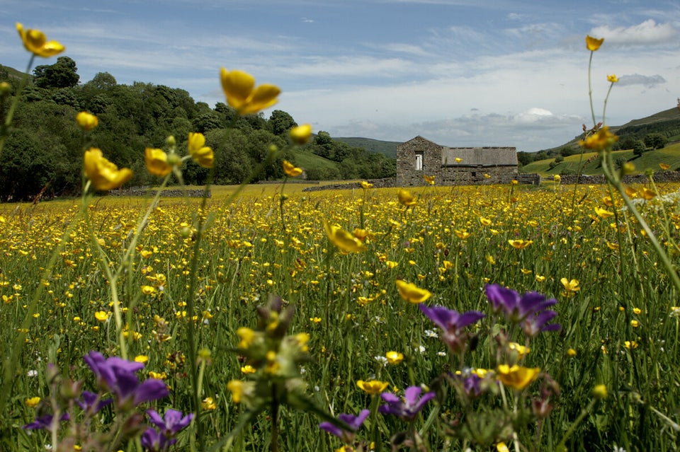 Kids Grow Wild, Yorkshire Dales National Park