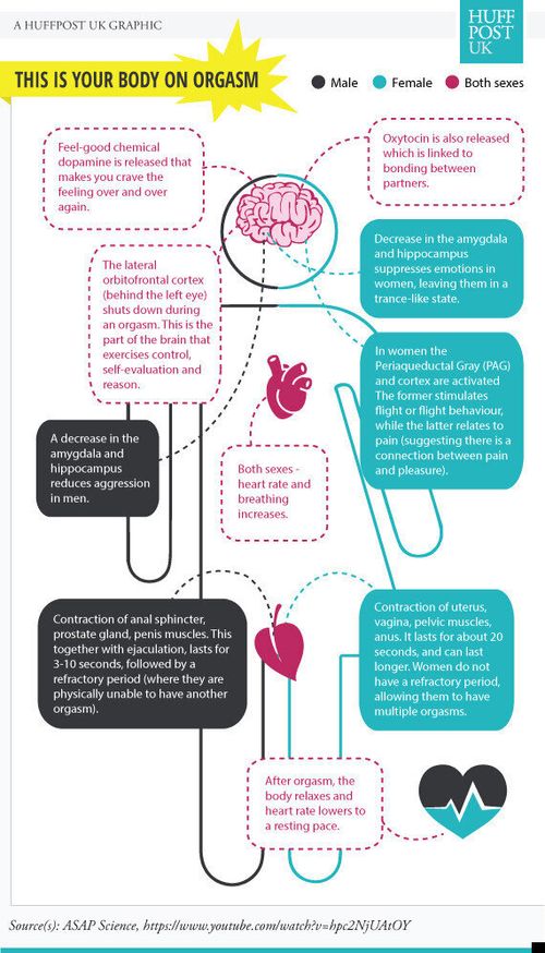 This Is Your Body On Orgasm HuffPost UK Life