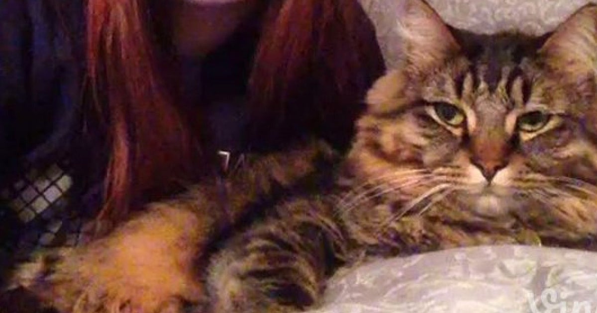 Vine Of The Day Girl And Cat Bob Their Heads To The Beat HuffPost UK