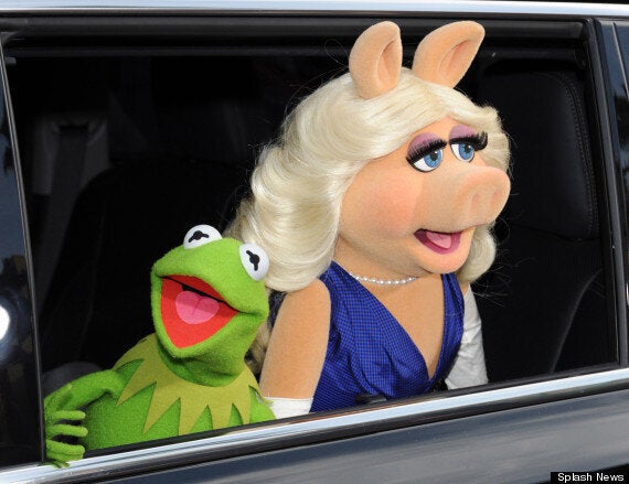 Muppets' Kermit Piggy Breakup Explained – The Hollywood Reporter