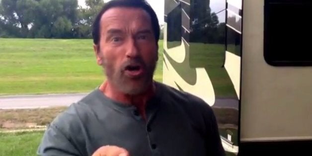 Arnold Schwarzenegger Delivers Fan Lines On Reddit AMA (VIDEO