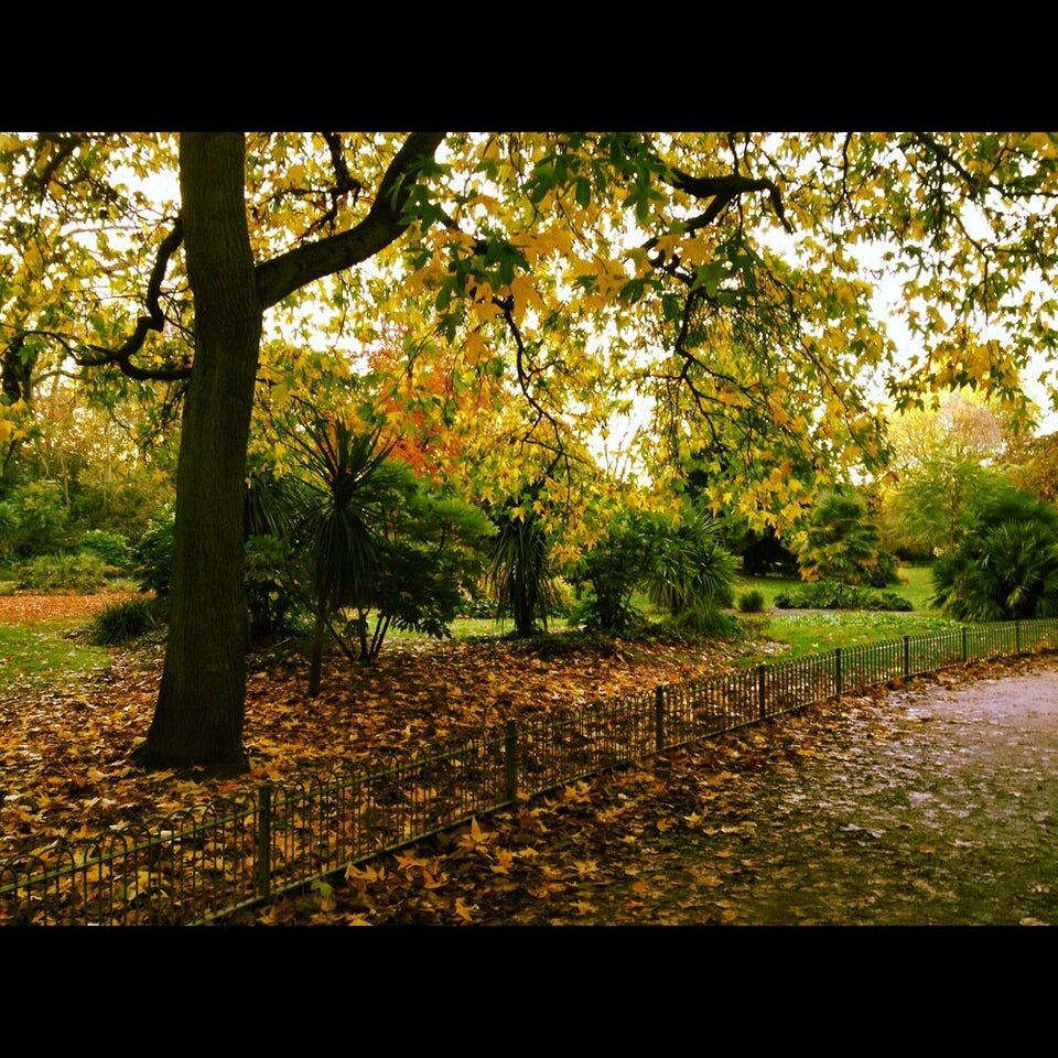 HuffPostUK Readers Share Their Autumnal Scenes