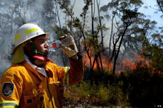 Australia Bushfires Koala Fears As Fires Rage In New South Wales