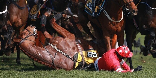 Abbyssial ridden by Ruby Walsh falls at the first fence during the JCB Triumph Hurdle on Gold Cup Day, during the Cheltenham Festival.