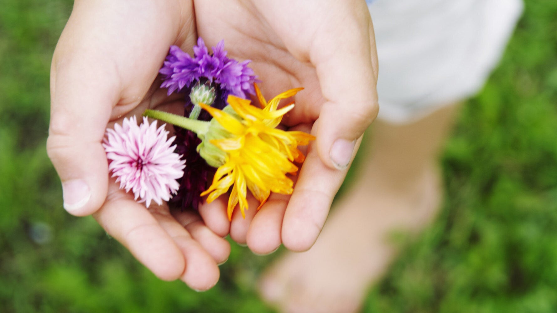 Give Me Flowers Now, Thank You HuffPost UK Life